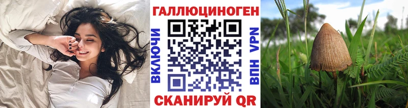 Псилоцибиновые грибы GOLDEN TEACHER  закладки  Юрьев-Польский 